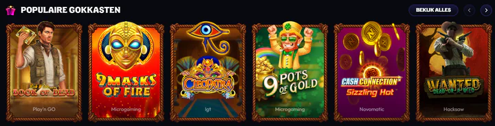 Wildzy — seo-text:games